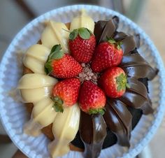 a chocolate cake topped with strawberries on top of a blue paper plate in the shape of a flower