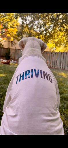 Dog is chillin in a sustainable t shirt. Who Wore It Better, Unique Print, Beach Outfit