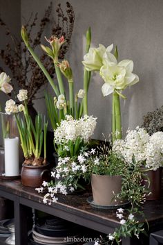 flowers are arranged in pots on a table