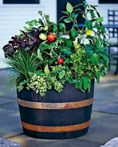 a planter filled with lots of different types of plants