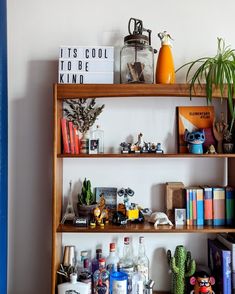 a shelf filled with books and other assorted items next to a plant on top of a table