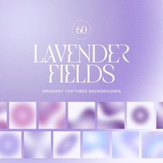 the text lavender fields is displayed in white and blue colors on a light purple background