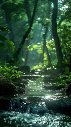 a stream running through a forest filled with lots of green plants and trees in the sunlight