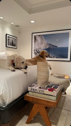 two dogs laying on top of a bed next to each other in a room with white walls