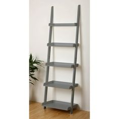 a black leaning shelf next to a potted plant