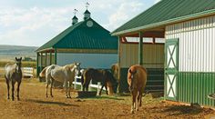 several horses are standing in the dirt near some buildings