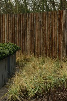 a wooden fence and some plants by it