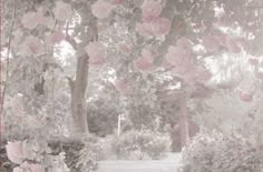 a garden with pink flowers and trees in the background