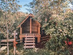 a wooden structure sitting in the middle of a forest next to some bushes and trees