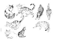 several cats are standing and walking together in this black and white drawing by artist mark taylor