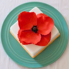 a red flower on top of a white and green plate