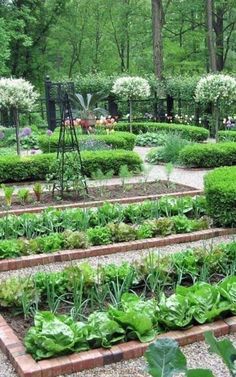 a garden filled with lots of different types of plants and trees in the middle of it