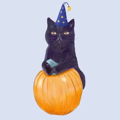 a black cat sitting on top of a pumpkin wearing a party hat