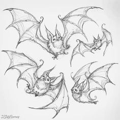 some bats that are flying in the air