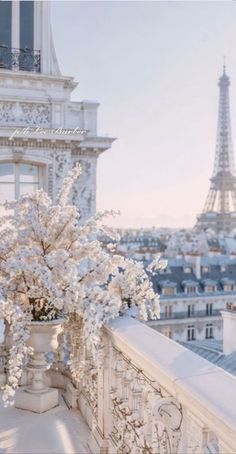 white flowers are in a vase on a balcony overlooking the eiffel tower