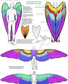 an image of different types of wings in the shape of heart and man's body