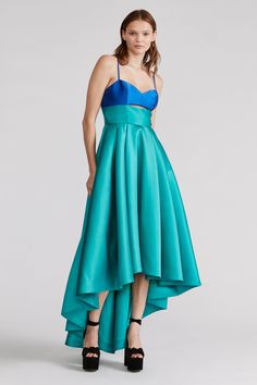 Sequin Bra Top, Zac Posen Dress, Mini Gown, High Low Gown, Pleated Gown, Ruffle Gown, Off Shoulder Gown, Full Length Skirts, Taffeta Dress