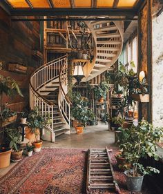 an image of a spiral staircase in a living room with plants on the floor and potted plants next to it