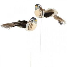 two birds are flying next to each other on a stick and one bird has its wings spread out