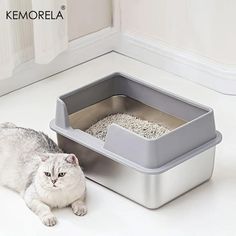 a cat laying on the ground next to a litter box