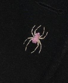 a pink and white spider sitting on top of a black shirt