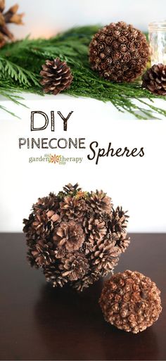 pinecone spheres sitting on top of a wooden table