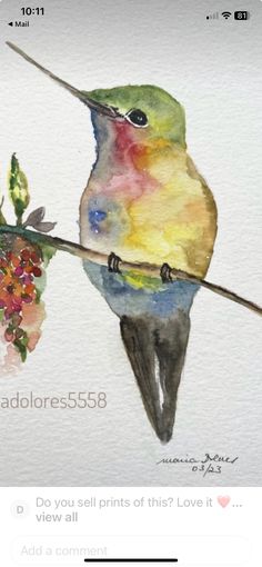 a watercolor painting of a hummingbird on a branch with flowers in the background