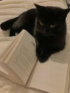 a black cat laying on top of an open book