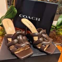 Stunning Pair Of Perfect Brown Heals. Soft Leather. Brand New In Box Coach Flip Flops, Bow Flip Flops, Heeled Flip Flops, Raffia Sandals, White Flip Flops, Wrist Wallet, Kitten Heel Sandals, Wedge Flip Flops, Leather Flip Flops