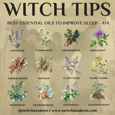 Herbs For Clarity Witchcraft, Herbs For Sleep Witchcraft, Herb Witch, Herbs For Sleep, Herbal Shop, Witchcraft Herbs, Wiccan Rituals, Medical Herbs, Magickal Herbs