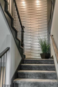 a plant is sitting on top of the stairs