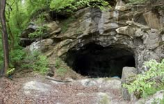 there is a small cave in the middle of the woods