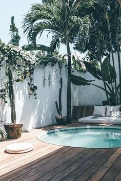 a small pool surrounded by palm trees and potted plants on the side of a house