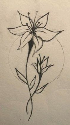 a drawing of a flower with leaves on it