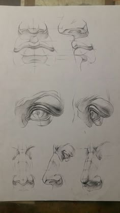 some drawings of different types of eyes and nose, with one being drawn to the side