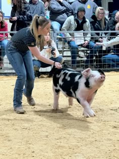 a woman holding onto a small black and white pig as people watch from the bleachers