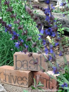 some bricks that are sitting on the ground in front of purple flowers and green grass