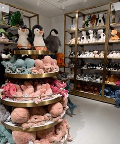 there are many stuffed animals on the shelves