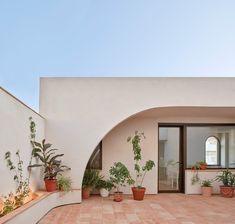 an outdoor patio with potted plants on it