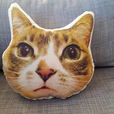 an orange and white cat pillow sitting on top of a couch