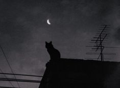 a black and white photo of a cat sitting on top of a roof looking at the moon