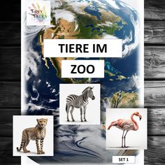 there is a poster with different animals and words in the background that say i'm zoo