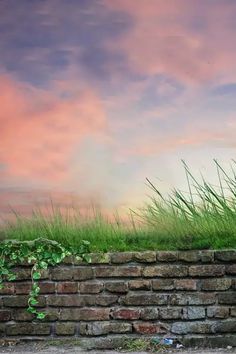 a brick wall with grass growing on top and pink clouds in the sky behind it