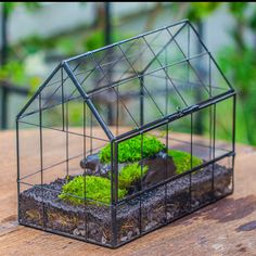 Black Theme Moss and  Black Tree Stump Vintage Greenhgouse  Tin and Glass Terrarium Kit - NCYPgarden Terrarium Soil, Vintage Greenhouse, Glass Terrarium Ideas, Fairy Terrarium, Terrarium Kit, Geometric Planter, Planting Pots, Opening Door, Terrarium Containers