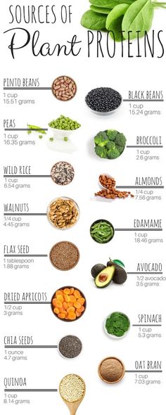 Sources of Plant Protein Resep Vegan, Plant Proteins, Healthy Beans, Good Eat, Diet Vegetarian, Think Food, Plant Based Eating, Plant Protein, Vegan Foods