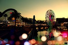 an amusement park with ferris wheel and lights reflecting in the water at sunset or dawn