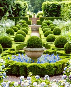 a formal garden with hedges and blue flowers