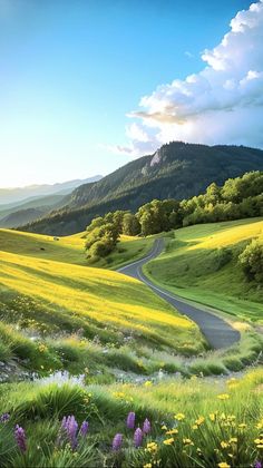 a painting of a road in the middle of a field with wildflowers on both sides