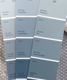 SW Tradewind color deck showing monochromatic pallet Blue Gray Paint Colors, Penthouse Living, Blue Gray Paint, House Paint Interior, Blue Paint Colors, House Color Schemes, Sherwin Williams Paint Colors, Grey Paint Colors