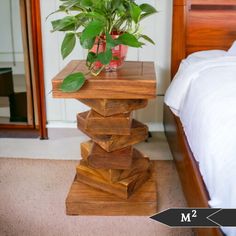 a plant is sitting on top of a wooden block in the middle of a bed